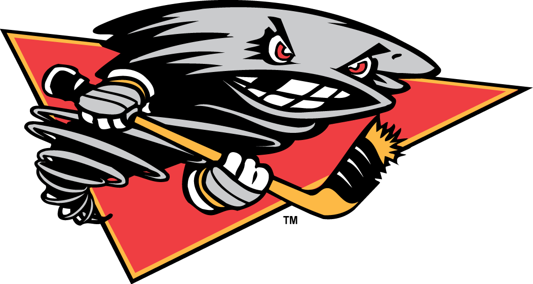 cincinnati cyclones 2001-2014 alternate logo v3 iron on transfers for T-shirts